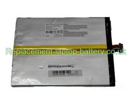 3.8V MEDION Akoya E2211T Battery 8000mAh