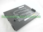 Replacement Laptop Battery for  6600mAh Long life CLEVO PortaNote 9800 Series, D900TBAT-12, PortaNote D9K, PortaNote D900K, 