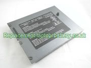 Replacement Laptop Battery for  6600mAh Long life CLEVO Sager NP9860, D900TBAT-12, PortaNote D90K, PortaNote 9800 Series, 