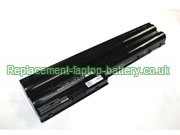 Replacement Laptop Battery for  30WH Long life NEC PC-LS350DS6B, PC-LS550AS6B, PC-LS550CS6L, PC-LS150AS6L, 