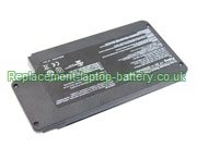 Replacement Laptop Battery for  5000mAh Long life FOUNDER C21-AV01, S370S, P0DC006, S370, 