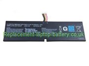 Replacement Laptop Battery for  5000mAh Long life GIGABYTE 961TA005F, GMS-C40, 
