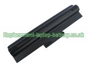 Replacement Laptop Battery for  6600mAh Long life SONY VAIO VPCF11Z1E, VAIO VPCS12L9E/B, VAIO VGN-AW70B/Q, VAIO VGN-AW93GS, 